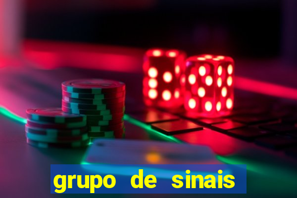 grupo de sinais fortune rabbit